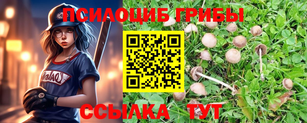 Псилоцибиновые грибы мицелий  Галлюциногенные грибы Magic Shrooms  Клин  хочу наркоту  Вход с VPN 