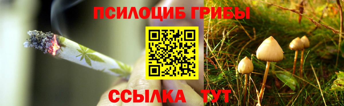 Псилоцибиновые грибы GOLDEN TEACHER Клин