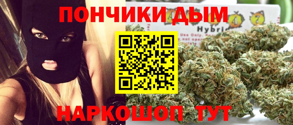 Каннабис план Клин
